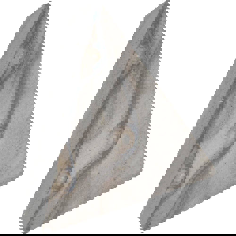 Turning Insert: TPU321 I22, Carbide