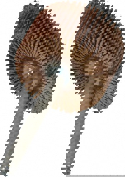 Mounted Flap Wheel: 3/4