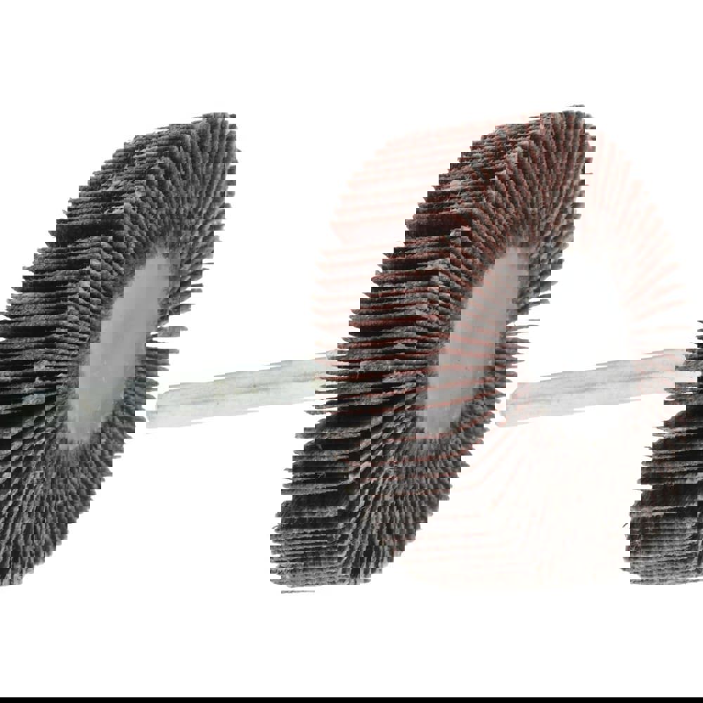 Mounted Flap Wheel: 1-3/16