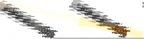 Thread Forming Tap: #6-32 UNC, Bottoming, Powdered Metal High Speed Steel, TiN Coated