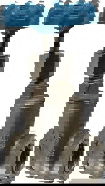 Gate Valve: Non-Rising Stem, 1/2