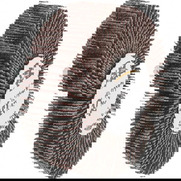 Mounted Flap Wheel: 3