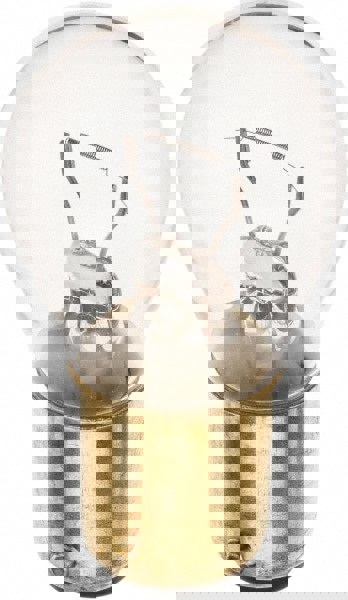 Miniature & Specialty Equipment Lamp