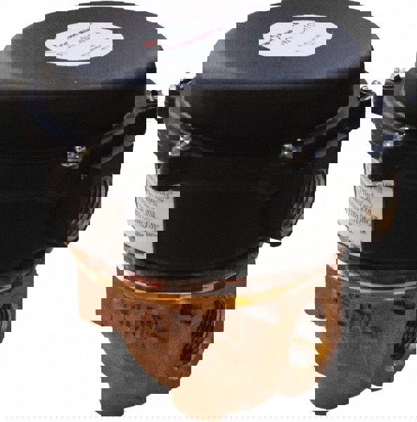 100 psi, Brass Housing, Adjustable Paddle Flow Switch