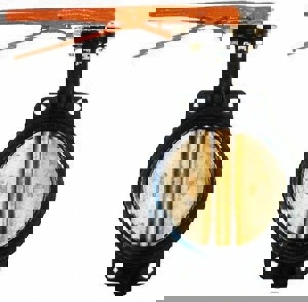 Manual Wafer Butterfly Valve: 6