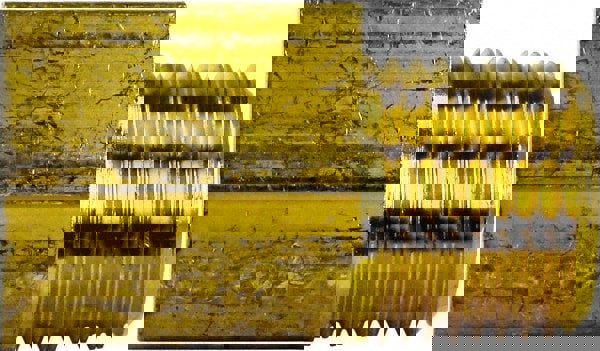 Industrial Pipe 90 &deg; Street Elbow: 1/4