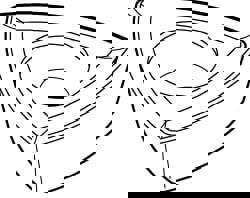 Milling Insert: WPGX07T312-GN160, K110M, Solid Carbide