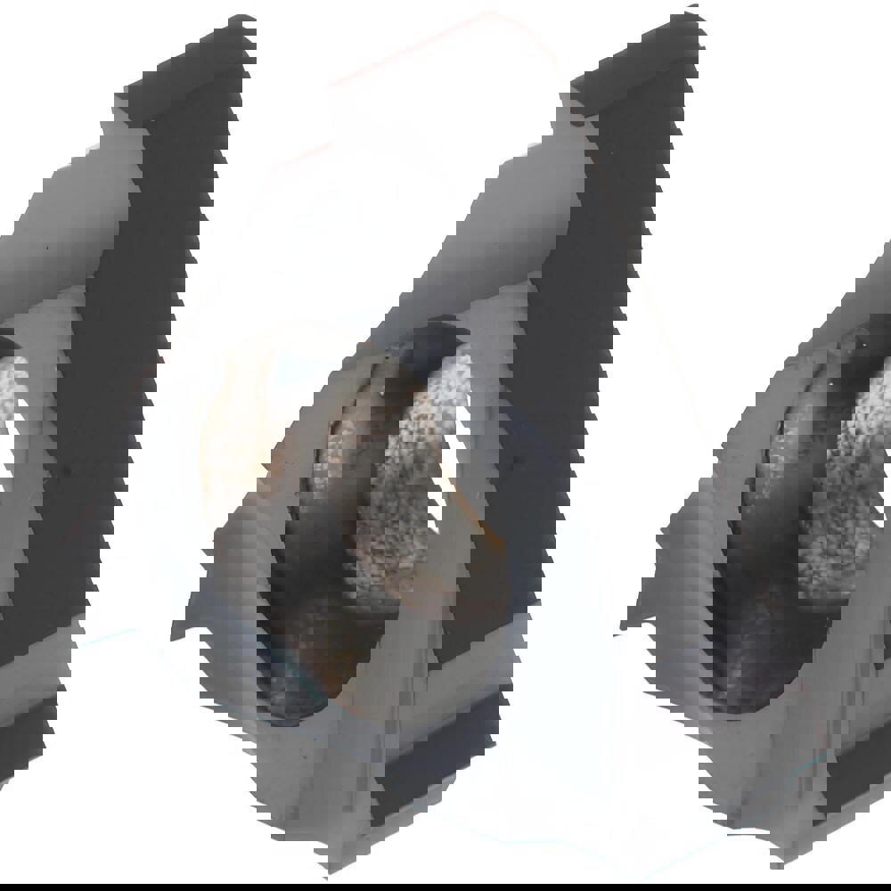 Laydown Threading Insert: 11 IR 20 UNJ HG225TR, Solid Carbide