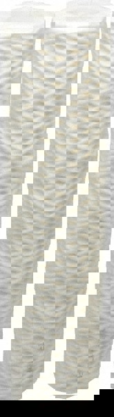 Plumbing Cartridge Filter: 2-1/2