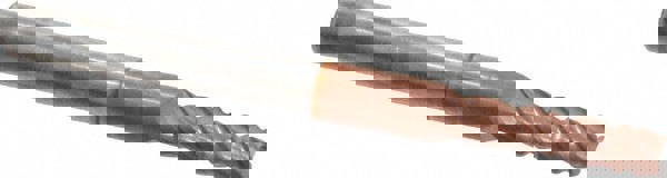 Roughing & Finishing End Mill: 0.1563