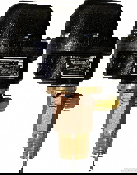 300 psi, Brass Housing, Adjustable Paddle Flow Switch