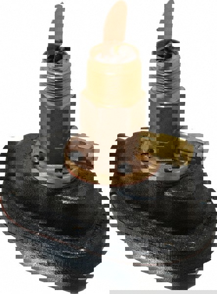 1,000 psi, Brass Housing, General Purpose Flow Switch