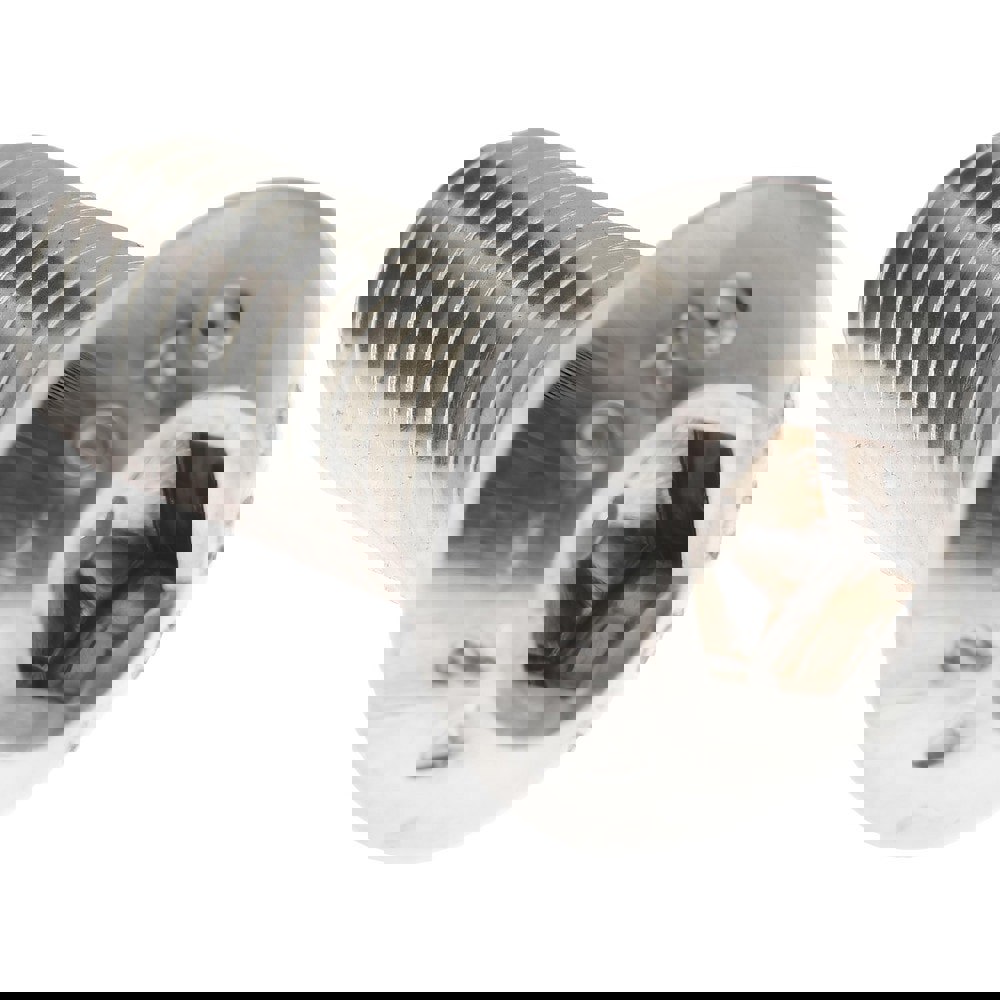 Button Socket Cap Screw: Stainless Steel