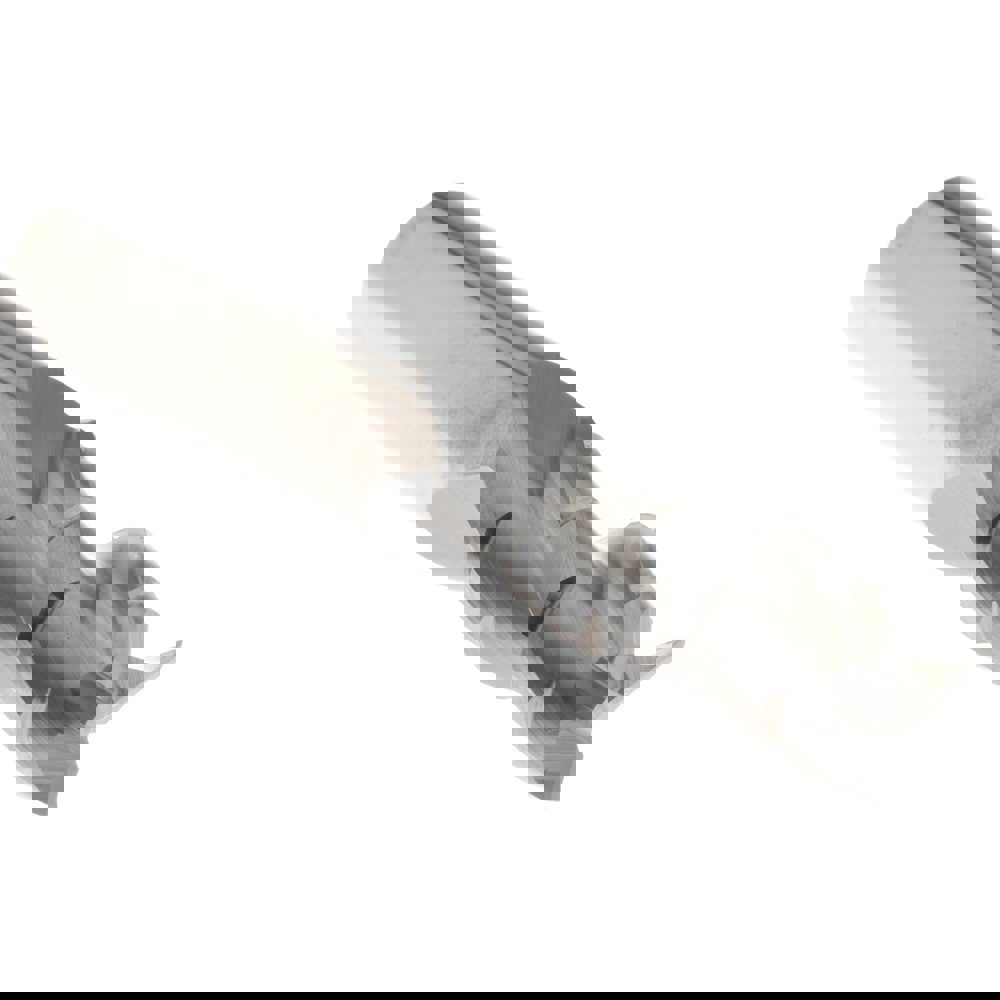 Roughing End Mill: 3 Flutes, 0.015