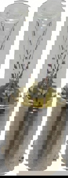 120 Volt, Incandescent Miniature & Specialty T2-1/2 Lamp