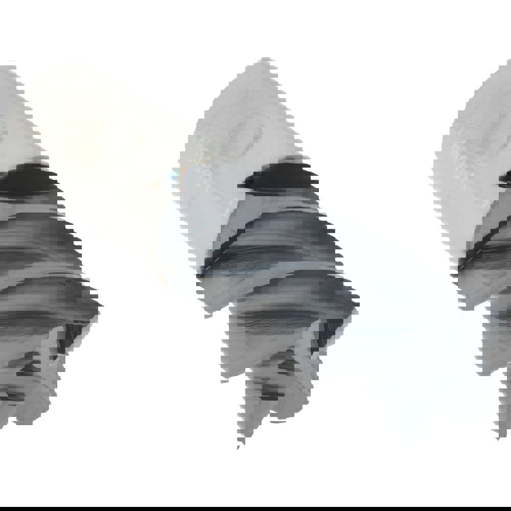 Square End Mill: 1'' Dia, 1-3/4'' LOC, 1'' Shank Dia, 4'' OAL, 4 Flutes, Solid Carbide