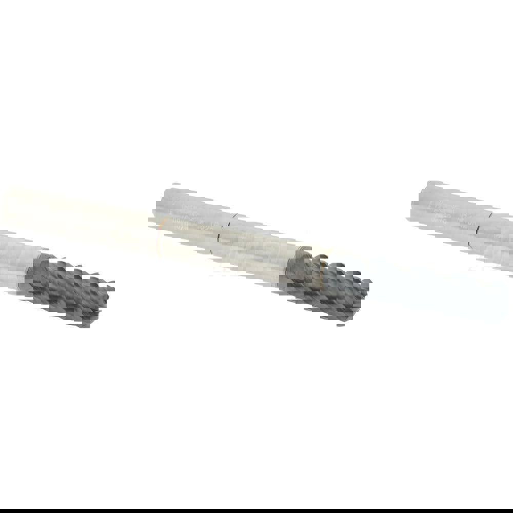 Long & Xl Reach Altin Coated