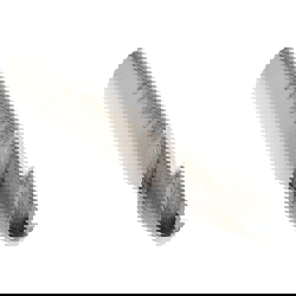 Ball End Mill: 0.2969