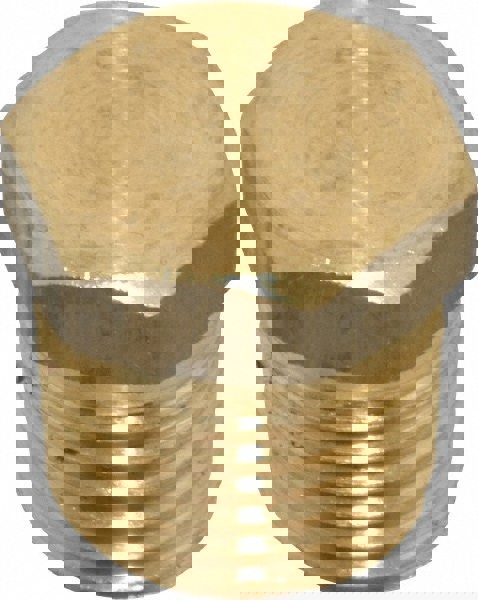 Industrial Pipe Hex Plug: 1/4