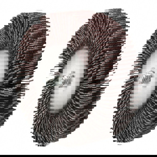 Mounted Flap Wheel: 1