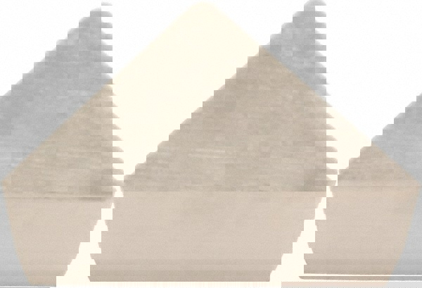 Turning Insert: TPG322 G10E, Carbide