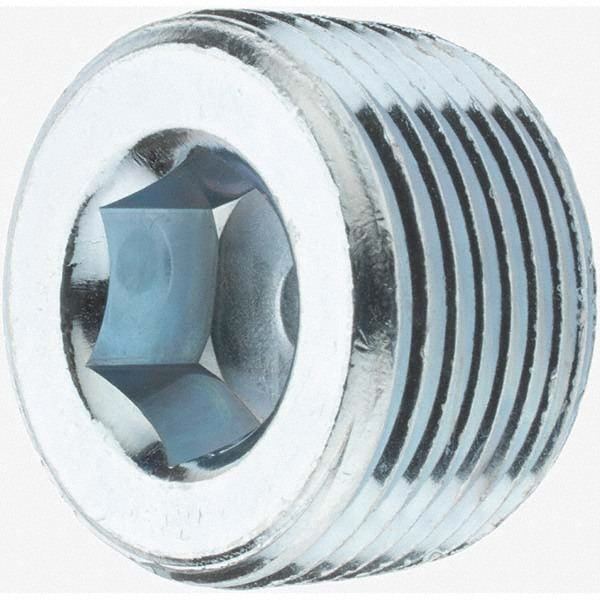 Malleable Iron Pipe Countersunk Hex Plug: 1