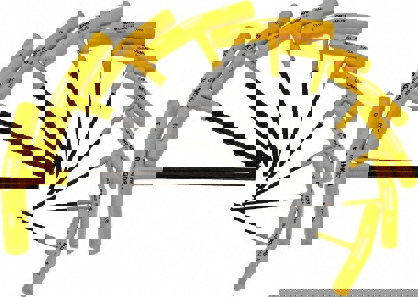 10 Piece T-Handle Hex Key Set