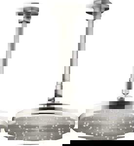 Single Function Showerhead in Vibrant Brushed Nickel