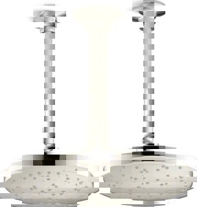 Single Function Showerhead in Vibrant Polished Nickel