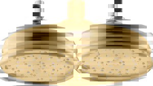 Single Function Showerhead in Vibrant Brushed Moderne Brass