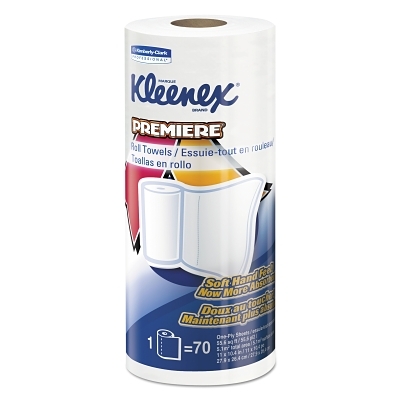 Premier Kitchen Paper Towels, Cloth-Like Softness, White