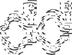 Sanitary Stainless Steel Pipe Double Hinged Clamp with Holed Wing Nut: 3