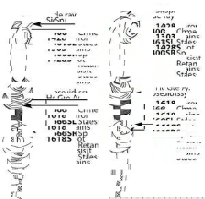 REP S/SPRY W/ HOSE CP