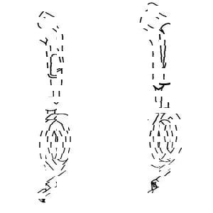 PROFLO FCT CP SPRY HOSE & GUIDE