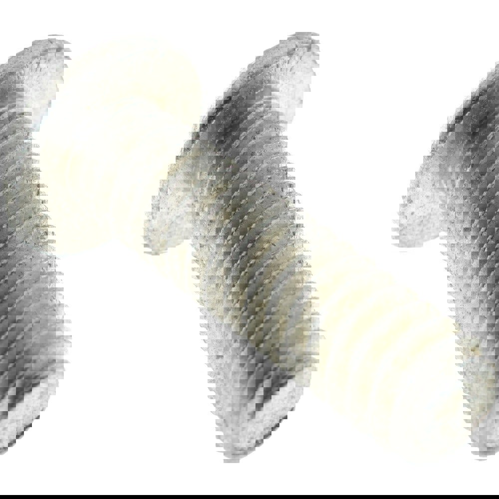 Machine Screw: 1/4-20 x 7/8