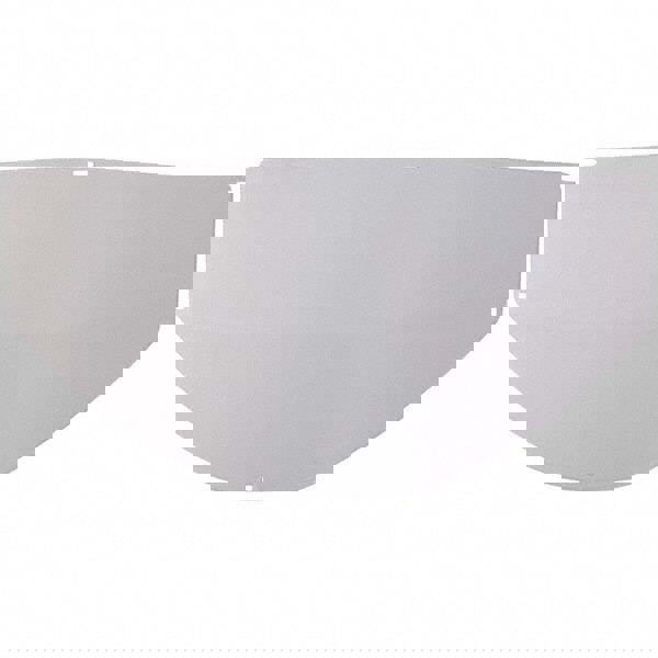 Face Shield Windows & Screens: Replacement Window, Clear, 9