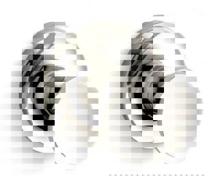 1 Robe Hook in Vibrant Polished Nickel