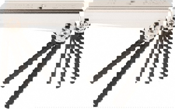 5 Piece Fold-Up Hex Key Set