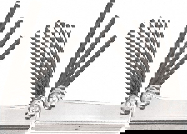 9 Piece Fold-Up Hex Key Set