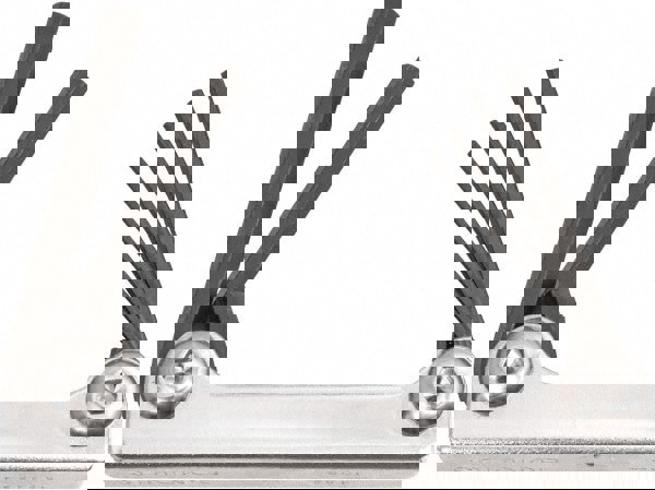 6 Piece Fold-Up Ball End Hex Key Set