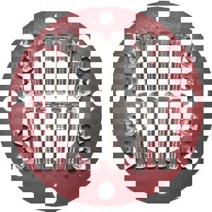 6 304 SS 150# RR FF 1/8 FLG SET