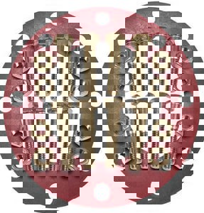 10 304 SS 150# RR FF 1/8 FLG PKG