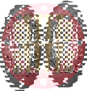 14 304 SS 150# RR FF 1/8 FLG PKG