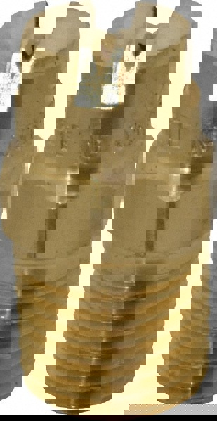 Brass Standard Fan Nozzle: 1/4