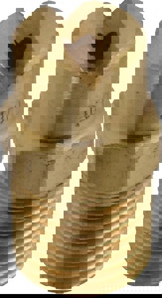 Brass Standard Fan Nozzle: 1/4