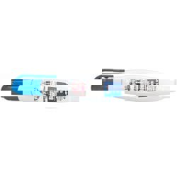 Marker: Blue, Oil-Based