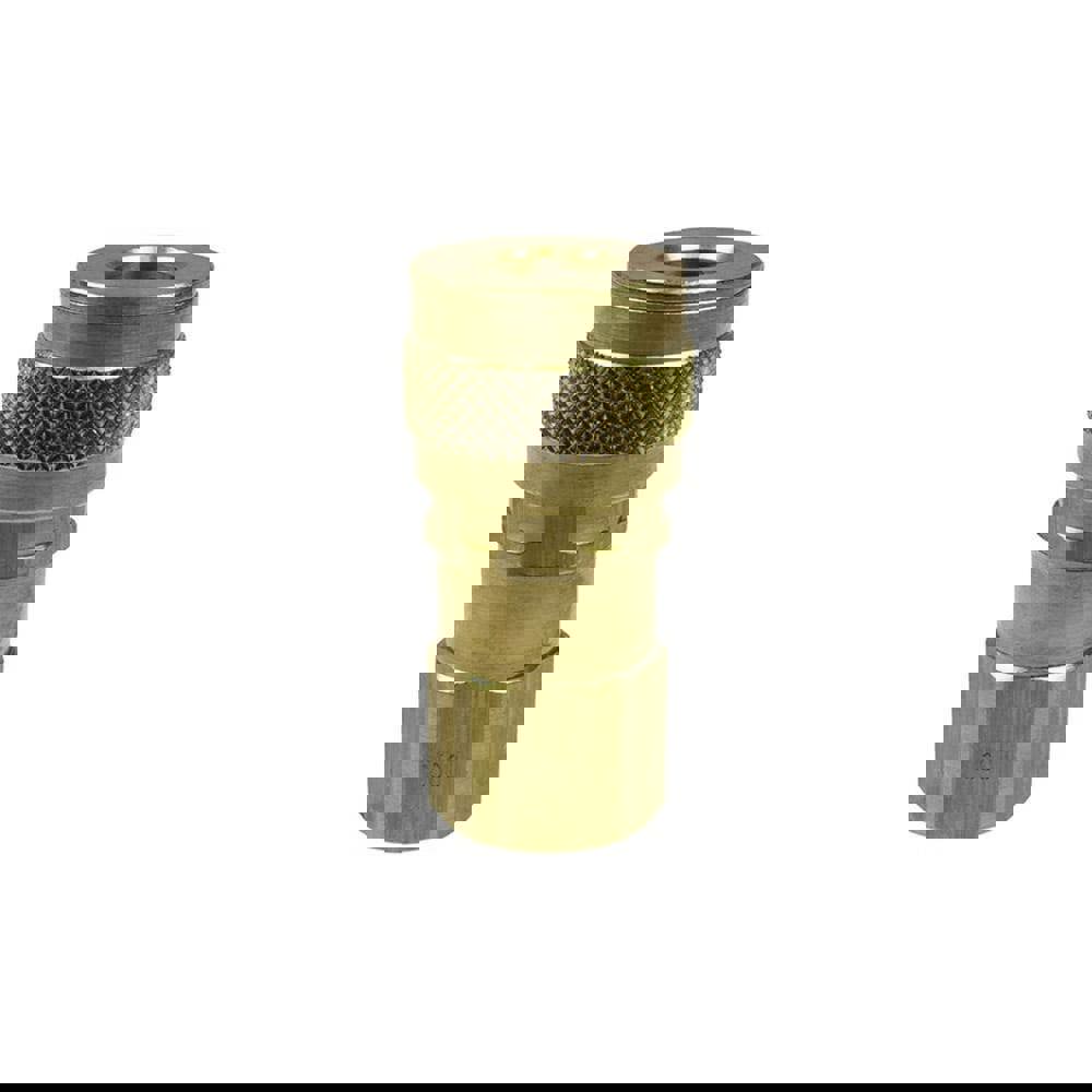 Pneumatic Hose Coupling: 1/4