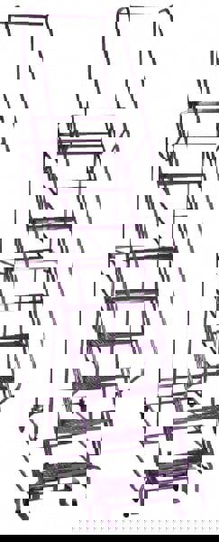 13-Step Ladder: Steel