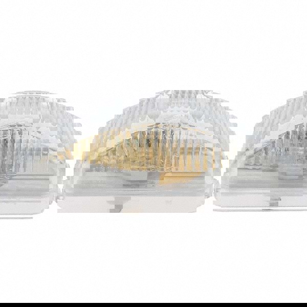 Clear Automotive Utility Light