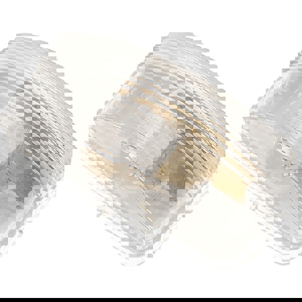 Clear Automotive Utility Light